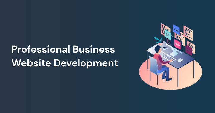 professional business website development